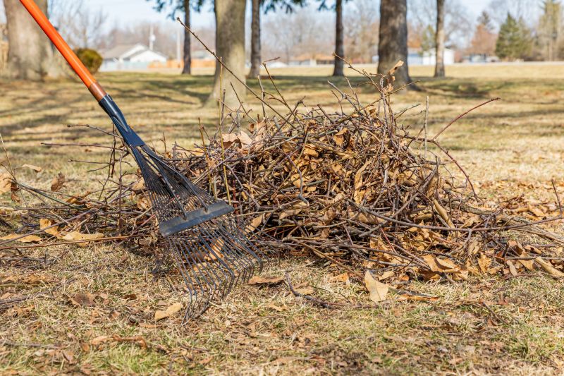 Lawn with Fall Debris